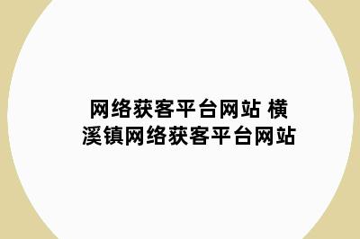 网络获客平台网站 横溪镇网络获客平台网站